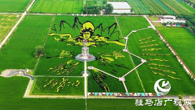 “稻梦田园·活力乡村”体育嘉年华将在确山留庄稻田公园开启