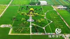 &ldquo;稻梦田园&middot;活力乡村&rdquo;体育嘉年华将在确山留庄稻田公园开启