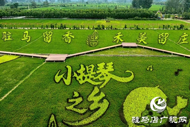 “稻梦田园·活力乡村”体育嘉年华将在确山留庄稻田公园开启