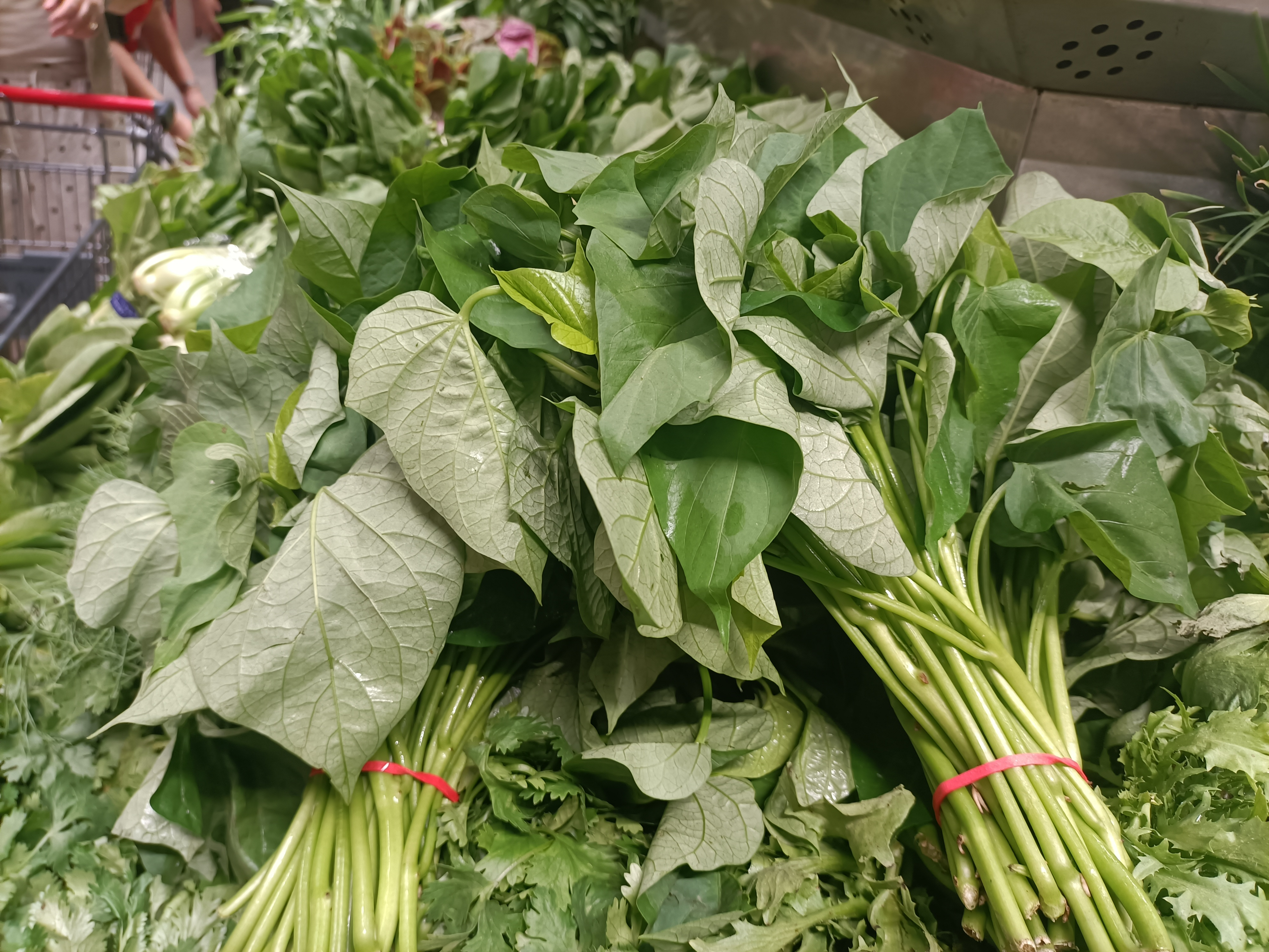 &ldquo;红薯叶抗癌&rdquo;引发关注 医生提醒：理性看待食物功效