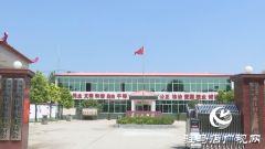 驿城区孟庄村：党建引领筑根基 文明花开幸福村