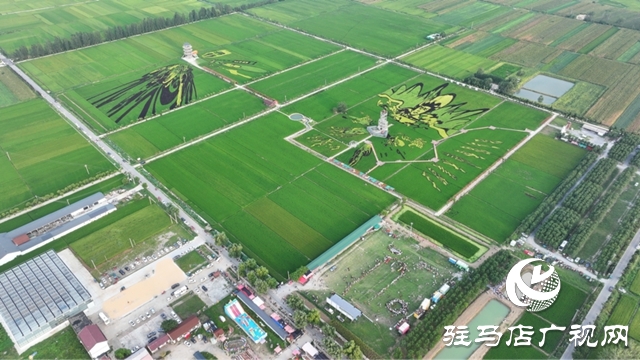 2025年河南省万村千乡农民篮球赛驻马店赛区暨社区运动会确山留庄稻田公园站活力开幕