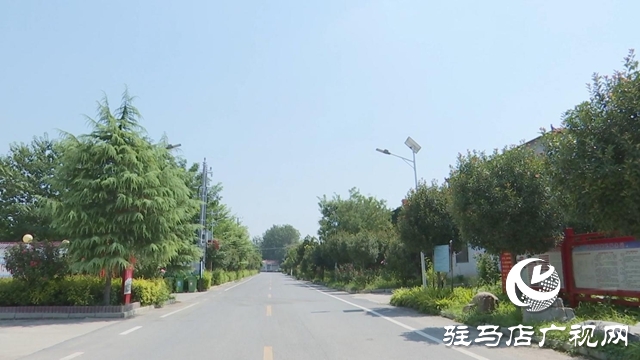 驿城区孟庄村 党建引领筑根基 文明花开幸福村