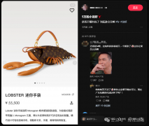 LV“龙虾包”售价55500元！网友：欣赏不来！门店回应