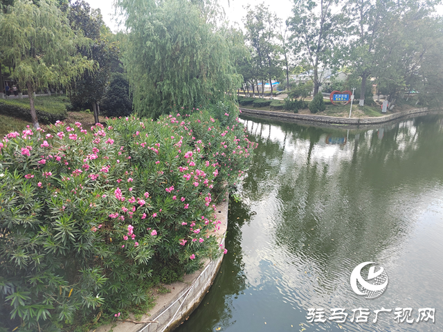 驻马店:园林增色绘新景 绿意满城绽芳华
