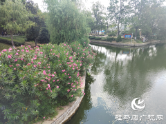 驻马店：园林增色绘新景 绿意满城绽芳华