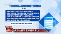 与你我生活息息相关 多个法律草案拟提请审议