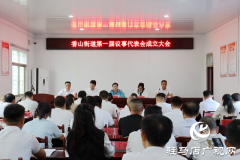 驿城区香山街道议事代表会成立 开启基层民主新篇章