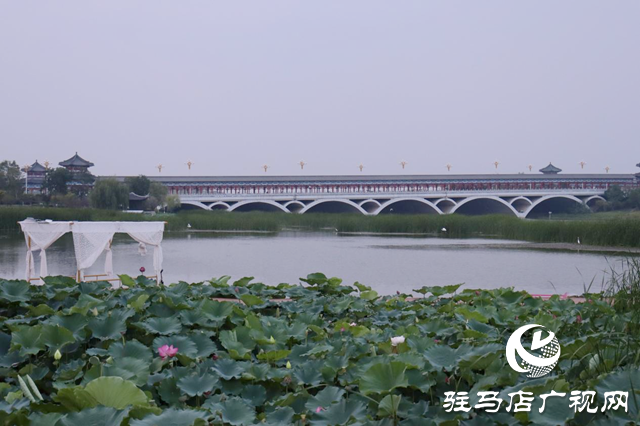 印象练江湖熙汐水岸主题乐园开业 解锁“城市微度假”新体验