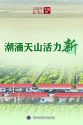 习近平总书记关切事丨潮涌天山活力新