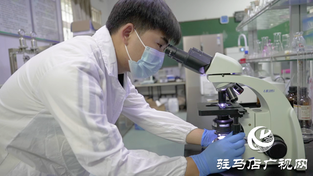 黄淮学院学子在第十届全国大学生生命科学竞赛中斩获多项奖项