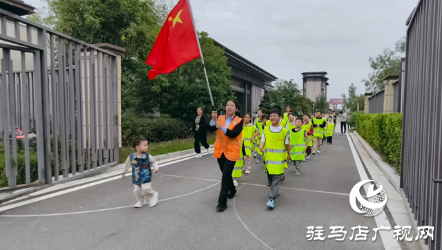 驿城区“青春跃动”夜跑团:夜色中的风景线 点亮活力健康生活