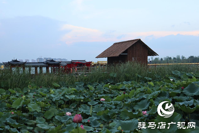 印象练江湖熙汐水岸主题乐园:解锁秋日户外惬意时光