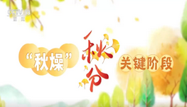 秋分节气，这份健康处方请收好