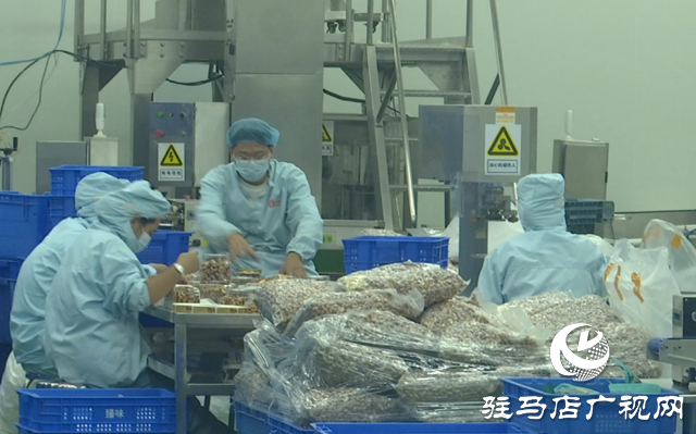 臻味上蔡食品:产销两旺赶订单 创新发展蓄能量