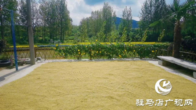 诗咏金秋 笔绘丰年
