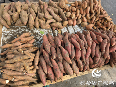 驻马店本地红薯上市 秋日&ldquo;甜蜜&rdquo;走俏市场