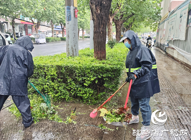 驻马店经济开发区开展绿化环境专项整治 以整洁优美城市面貌迎国庆中秋