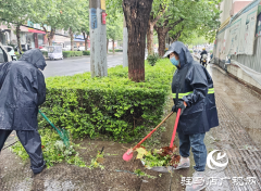 驻马店经济开发区开展绿化环境专项整治 以整洁优美城市面貌迎​​“双节”