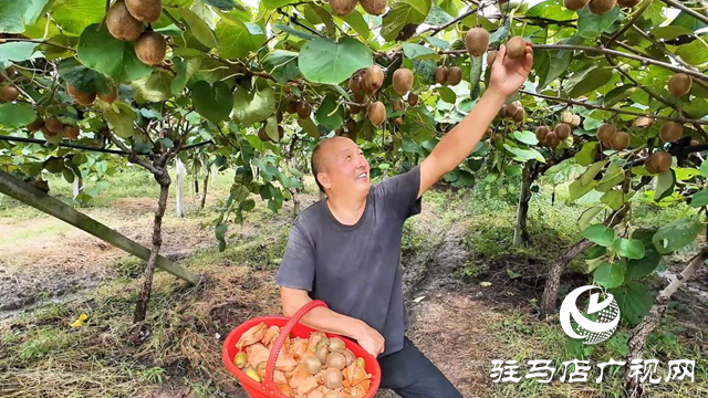 正阳县闾河乡:生态种植结硕果 铺就乡村振兴路