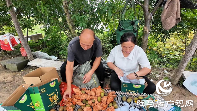 正阳县闾河乡:生态种植结硕果 铺就乡村振兴路