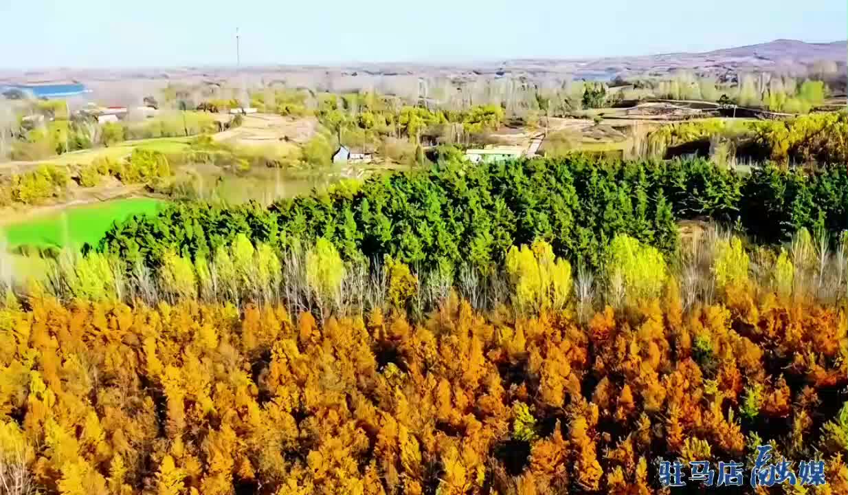以歌为媒邀客来 《相约泌阳》解锁泌阳新&ldquo;声&rdquo;名片