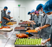 平舆县：食品厂托起&ldquo;家门口&rdquo;就业梦