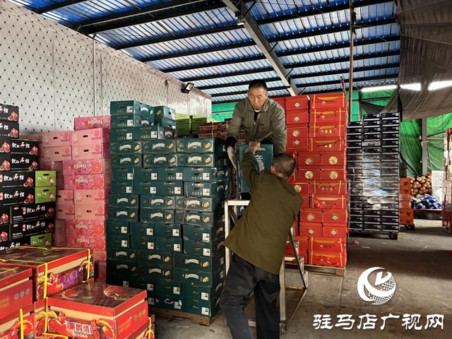 驻马店市众信农副产品综合批发市场：筑牢“双节”蔬菜、水果保供防线