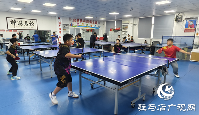驻马店青少年乒乓球训练热火朝天 小球员挥拍诠释“少年强”​​​​​​​​