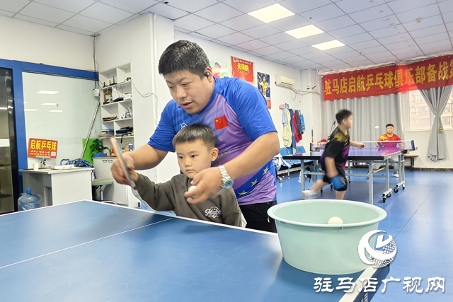 驻马店青少年乒乓球训练热火朝天 小球员挥拍诠释“少年强”​​​​​​​​