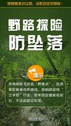 反向旅游，这些“坑”一定不要踩！