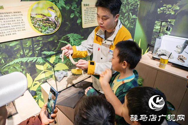 驻马店市科技馆：“双节”科普活动吸引1.4万人次参与 沉浸式体验激发青少年科学热情