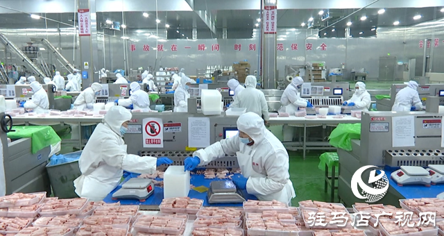 科技赋能牛肉产业链 恒都食品创新引领农业现代化