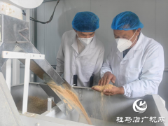  驿城区香山街道杨楼村：石磨面粉产业焕发新生 绘就&ldquo;一村一品&rdquo;振兴图景​​