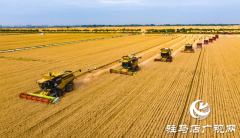 驻马店：&ldquo;十四五&rdquo;​​​​​​​农业农村现代化扎实推进 乡村振兴迈出坚实步伐​