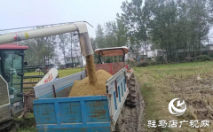 正阳县大林镇：多措并举破解生产难题 保障&ldquo;三秋&rdquo;工作高效推进​