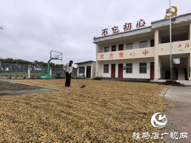 正阳县闾河乡:抢抓“三秋”生产 全力保障粮食归仓
