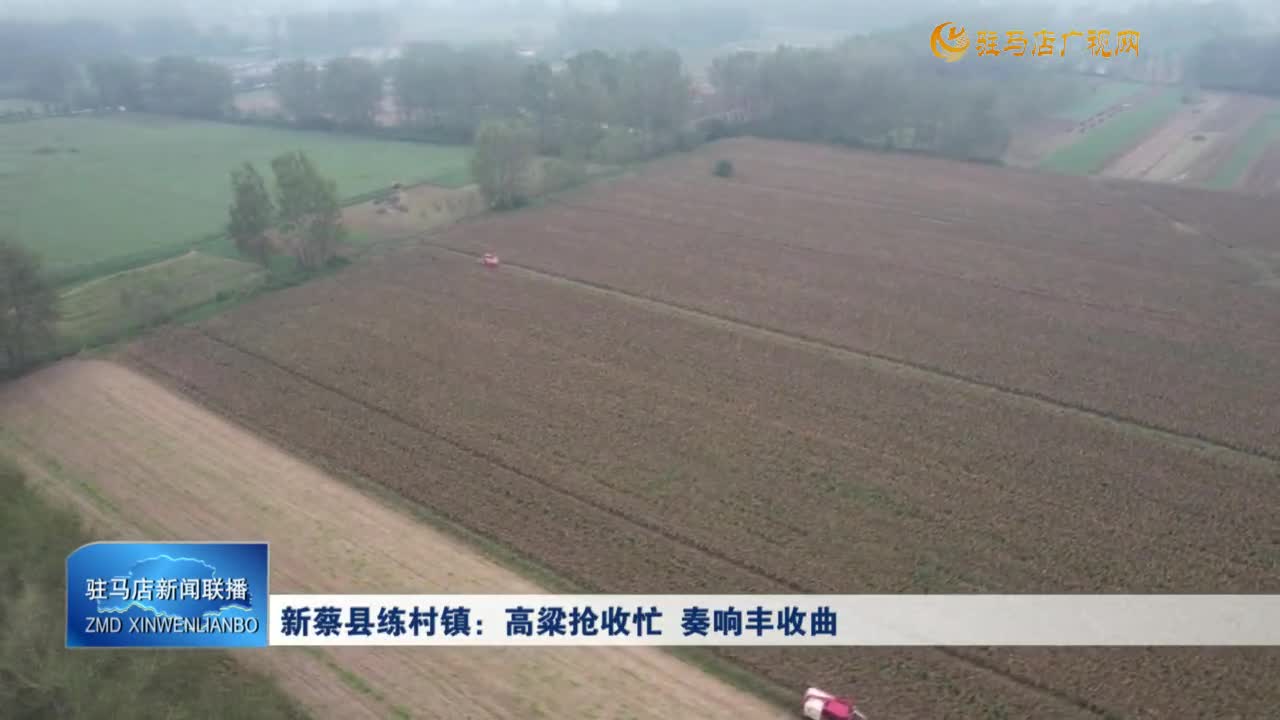 新蔡县练村镇：高粱抢收忙 奏响丰收曲