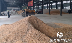 确山县：启动粮食烘干应急机制 全力保障秋粮应收尽收​​