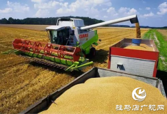 驻马店&ldquo;十四五&rdquo;粮食安全成果显著 稳产保供筑牢中原粮仓​