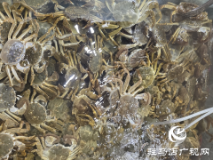 驻马店：大闸蟹价格明显回落 市民迎来尝鲜好时机​​