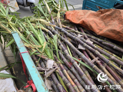 本地甘蔗甜蜜上市！​​驻马店街头商超齐飘甜香​​