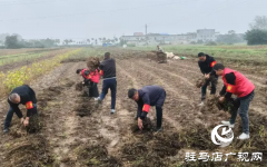 新蔡县佛阁寺镇：志愿抢收服务队雨中守护农户&ldquo;粮袋子&rdquo;​​
