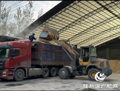 平舆县：36个烘干点昼夜运转 全力守护秋粮归仓​​