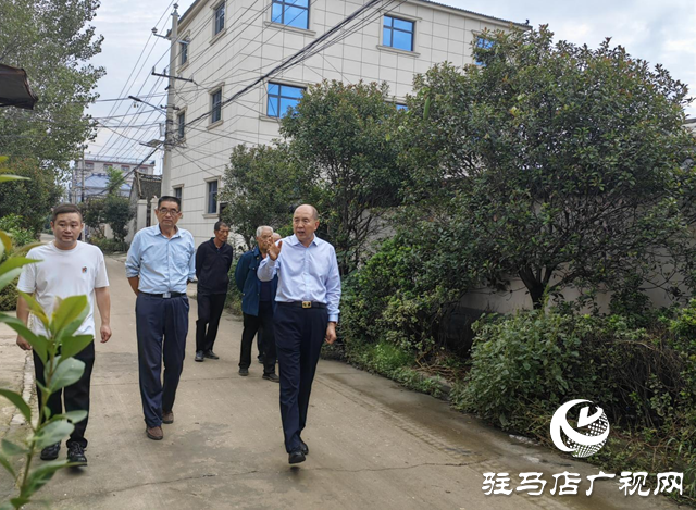 上蔡县朱里镇拐子杨村:人居环境整治绘新景 “净绿美”乡村入画来