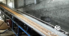 驿城区：全力开展烘干作业 守护秋粮归仓​