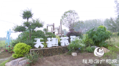 驿城区诸市镇魏庄村&ldquo;天边花海&rdquo;即将开园