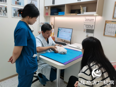 秋季宠物呼吸道与胃肠道疾病高发 专业医师提醒科学防护​