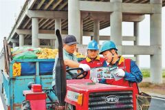 电力引擎激活种业芯片 中原农谷护航粮食安全