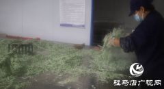 新蔡常老庄村：小&ldquo;蒸菜&rdquo;蒸出致富新希望